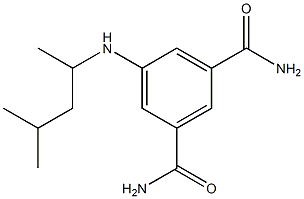 5-[(4-methylpentan-2-yl)amino]benzene-1,3-dicarboxamide 结构式