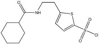 5-[2-(cyclohexylformamido)ethyl]thiophene-2-sulfonyl chloride 结构式