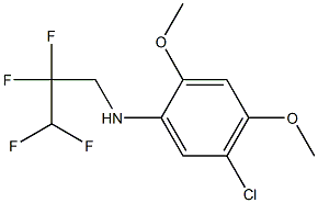 5-chloro-2,4-dimethoxy-N-(2,2,3,3-tetrafluoropropyl)aniline 结构式