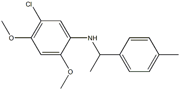 5-chloro-2,4-dimethoxy-N-[1-(4-methylphenyl)ethyl]aniline 结构式