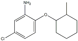 5-chloro-2-[(2-methylcyclohexyl)oxy]aniline 结构式