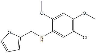 5-chloro-N-(furan-2-ylmethyl)-2,4-dimethoxyaniline 结构式