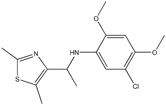 5-chloro-N-[1-(2,5-dimethyl-1,3-thiazol-4-yl)ethyl]-2,4-dimethoxyaniline 结构式