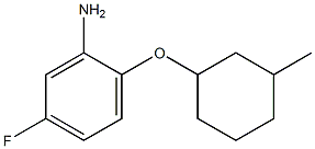 5-fluoro-2-[(3-methylcyclohexyl)oxy]aniline 结构式