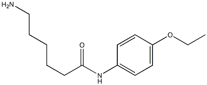 6-amino-N-(4-ethoxyphenyl)hexanamide 结构式