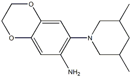 7-(3,5-dimethylpiperidin-1-yl)-2,3-dihydro-1,4-benzodioxin-6-amine 结构式