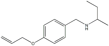 butan-2-yl({[4-(prop-2-en-1-yloxy)phenyl]methyl})amine 结构式