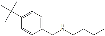 butyl[(4-tert-butylphenyl)methyl]amine 结构式