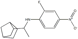 N-(1-{bicyclo[2.2.1]heptan-2-yl}ethyl)-2-fluoro-4-nitroaniline 结构式