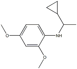 N-(1-cyclopropylethyl)-2,4-dimethoxyaniline 结构式