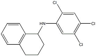 N-(2,4,5-trichlorophenyl)-1,2,3,4-tetrahydronaphthalen-1-amine 结构式