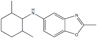 N-(2,6-dimethylcyclohexyl)-2-methyl-1,3-benzoxazol-5-amine 结构式