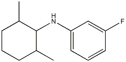N-(2,6-dimethylcyclohexyl)-3-fluoroaniline 结构式