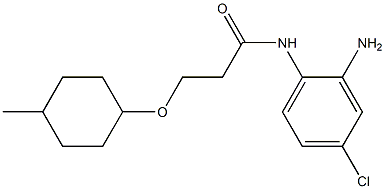 N-(2-amino-4-chlorophenyl)-3-[(4-methylcyclohexyl)oxy]propanamide 结构式