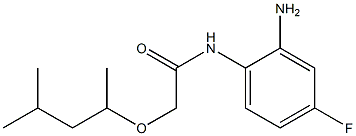 N-(2-amino-4-fluorophenyl)-2-[(4-methylpentan-2-yl)oxy]acetamide 结构式