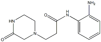 N-(2-aminophenyl)-3-(3-oxopiperazin-1-yl)propanamide 结构式