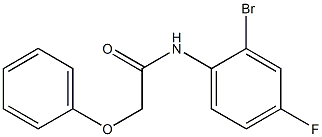 N-(2-bromo-4-fluorophenyl)-2-phenoxyacetamide 结构式