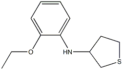 N-(2-ethoxyphenyl)thiolan-3-amine 结构式
