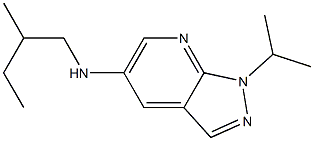 N-(2-methylbutyl)-1-(propan-2-yl)-1H-pyrazolo[3,4-b]pyridin-5-amine 结构式