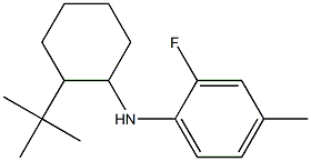 N-(2-tert-butylcyclohexyl)-2-fluoro-4-methylaniline 结构式