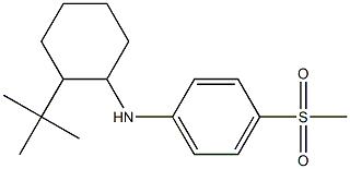 N-(2-tert-butylcyclohexyl)-4-methanesulfonylaniline 结构式