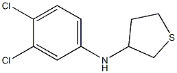 N-(3,4-dichlorophenyl)thiolan-3-amine 结构式