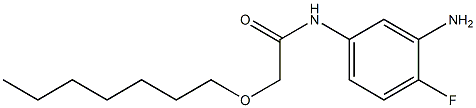 N-(3-amino-4-fluorophenyl)-2-(heptyloxy)acetamide 结构式