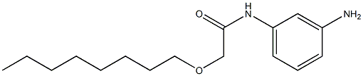 N-(3-aminophenyl)-2-(octyloxy)acetamide 结构式