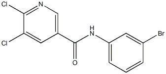 N-(3-bromophenyl)-5,6-dichloronicotinamide 结构式