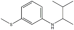 N-(3-methylbutan-2-yl)-3-(methylsulfanyl)aniline 结构式