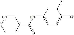 N-(4-bromo-3-methylphenyl)piperidine-3-carboxamide 结构式