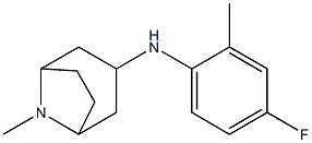 N-(4-fluoro-2-methylphenyl)-8-methyl-8-azabicyclo[3.2.1]octan-3-amine 结构式