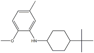 N-(4-tert-butylcyclohexyl)-2-methoxy-5-methylaniline 结构式