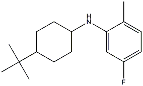 N-(4-tert-butylcyclohexyl)-5-fluoro-2-methylaniline 结构式