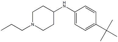 N-(4-tert-butylphenyl)-1-propylpiperidin-4-amine 结构式