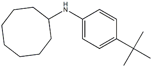 N-(4-tert-butylphenyl)cyclooctanamine 结构式