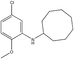 N-(5-chloro-2-methoxyphenyl)cyclooctanamine 结构式