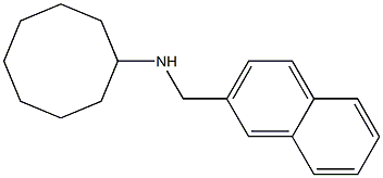 N-(naphthalen-2-ylmethyl)cyclooctanamine 结构式