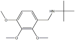 N-(tert-butyl)-N-(2,3,4-trimethoxybenzyl)amine 结构式