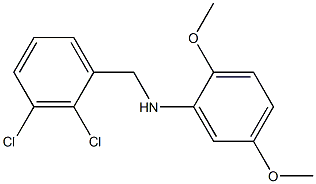 N-[(2,3-dichlorophenyl)methyl]-2,5-dimethoxyaniline 结构式