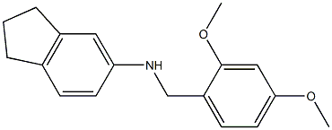 N-[(2,4-dimethoxyphenyl)methyl]-2,3-dihydro-1H-inden-5-amine 结构式