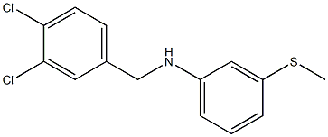 N-[(3,4-dichlorophenyl)methyl]-3-(methylsulfanyl)aniline 结构式