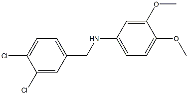 N-[(3,4-dichlorophenyl)methyl]-3,4-dimethoxyaniline 结构式
