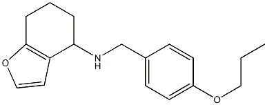 N-[(4-propoxyphenyl)methyl]-4,5,6,7-tetrahydro-1-benzofuran-4-amine 结构式