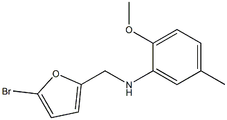 N-[(5-bromofuran-2-yl)methyl]-2-methoxy-5-methylaniline 结构式