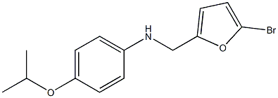 N-[(5-bromofuran-2-yl)methyl]-4-(propan-2-yloxy)aniline 结构式