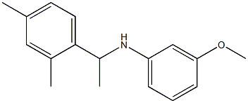 N-[1-(2,4-dimethylphenyl)ethyl]-3-methoxyaniline 结构式