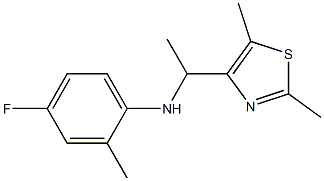 N-[1-(2,5-dimethyl-1,3-thiazol-4-yl)ethyl]-4-fluoro-2-methylaniline 结构式