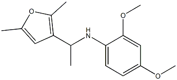 N-[1-(2,5-dimethylfuran-3-yl)ethyl]-2,4-dimethoxyaniline 结构式