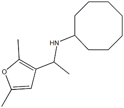 N-[1-(2,5-dimethylfuran-3-yl)ethyl]cyclooctanamine 结构式